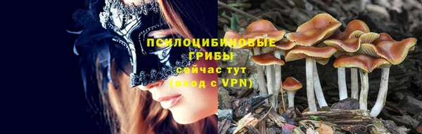 jwh Алзамай