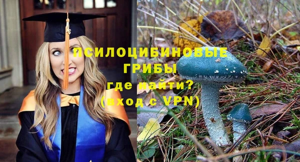 молекула духа Алексеевка