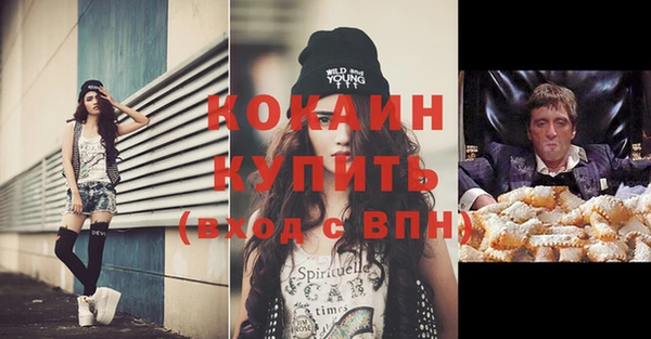 ПСИЛОЦИБИНОВЫЕ ГРИБЫ Пересвет