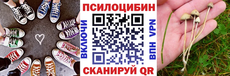 Псилоцибиновые грибы Psilocybine cubensis Туймазы