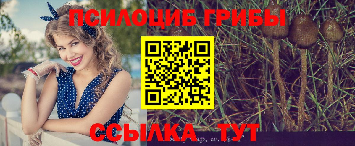 Галлюциногенные грибы Cubensis Туймазы